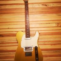 Fender Squier Telecaster Obey custom