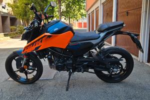 KTM DUKE 125 del 2024