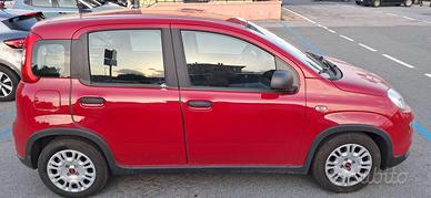 FIAT Panda 1.0 FireFly S&S Hybrid – Maggio 2024 (S