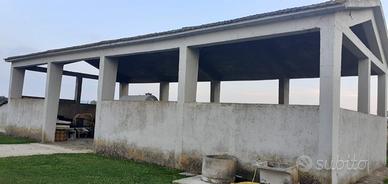 Terreno agricolo con rudere