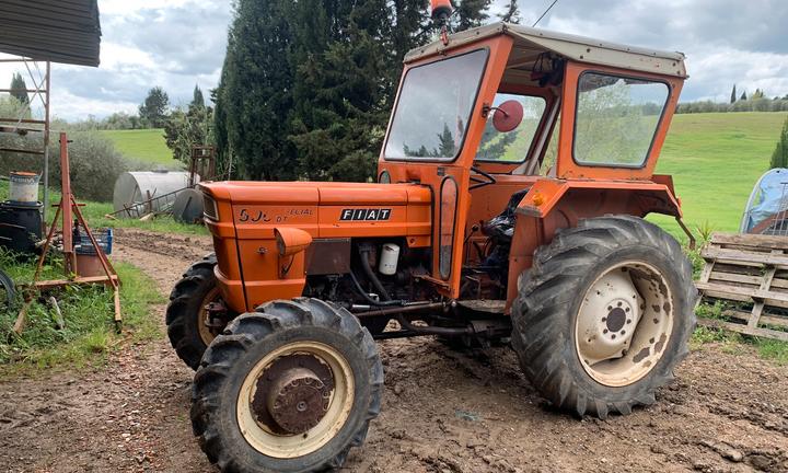 Trattore Fiat 500 Dt special