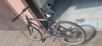 bicicletta uomo