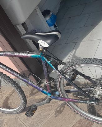 bicicletta uomo
