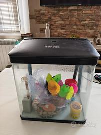 acquario completo e semplice