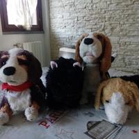 Cuccioli interattivi