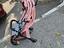 Immagine 1