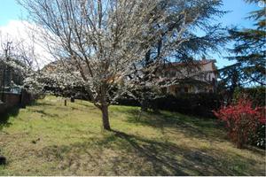 Appartamento con giardino monte amiata