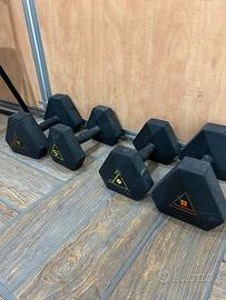 Manubri palestra pesi