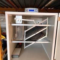 Incubatrice Fiem