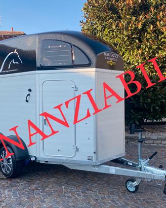 Trailer van per cavalli xantos con selleria
