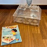 Serra per orto e piante