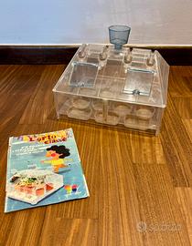 Serra per orto e piante