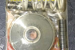 kit variatore malossi multivar 5114260