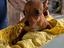 Immagine 3