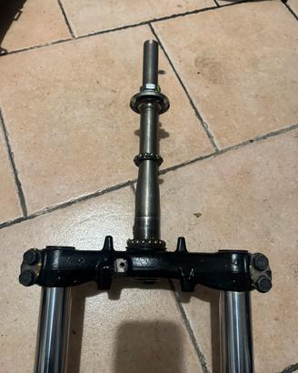 Forcella completa sh 300