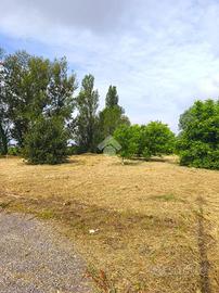 TER. AGRICOLO A SALA BOLOGNESE