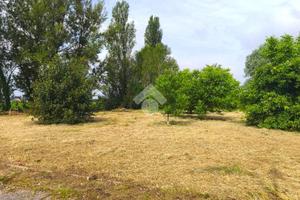 TER. AGRICOLO A SALA BOLOGNESE