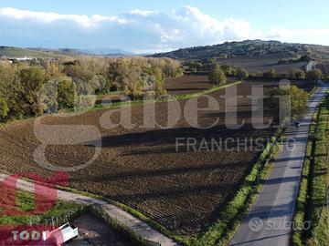 Terreno Agricolo Todi [TE108VRG]