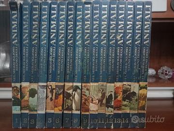 Nel Meraviglioso Regno degli Animali