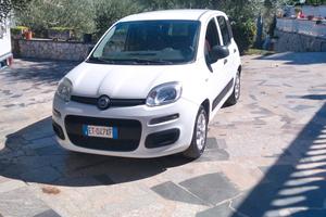 panda terza serie 