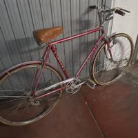 Bicicletta uomo Adige