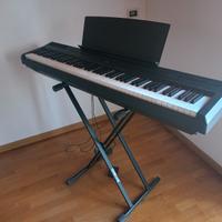 Tastiera Yamaha P-115   tasti 88