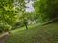 Immagine 20