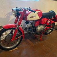 Aermacchi Harley-Davidson Ala Verde 4 m - 1963