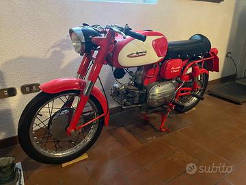 Aermacchi Harley-Davidson Ala Verde 4 m - 1963