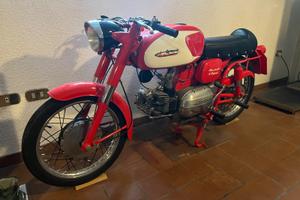 Aermacchi Harley-Davidson Ala Verde 4 m - 1963
