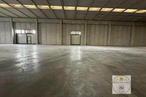 Capannone a Casale di Scodosia (PD)