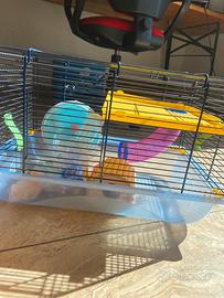 Gabbia per criceti completa di accessori