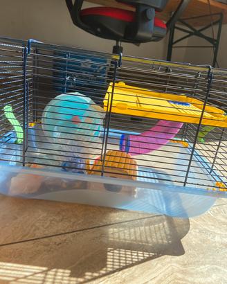 Gabbia per criceti completa di accessori