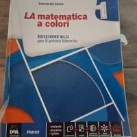 libro matematica a colori 
