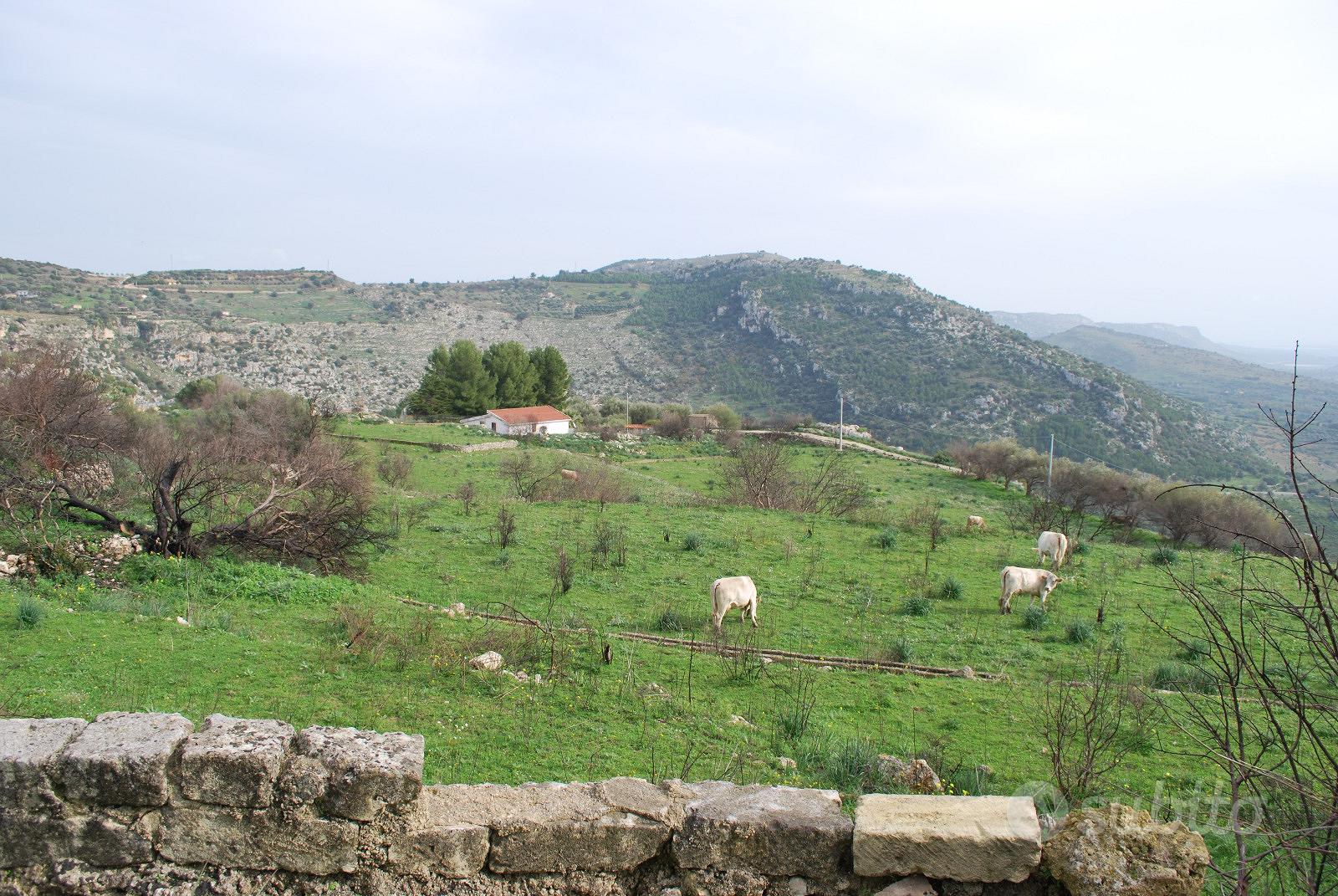 Terreno agricolo - Vista 3