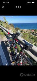 Bici olmo