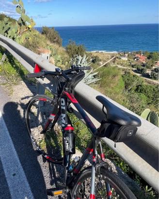 Bici olmo