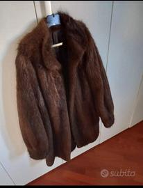pelliccia castorino spitz