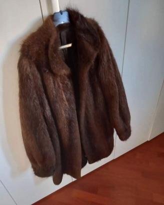 pelliccia castorino spitz