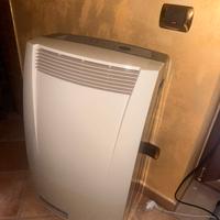 Condizionatore portatile pinguino