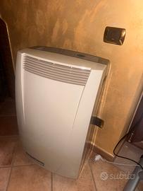 Condizionatore portatile pinguino