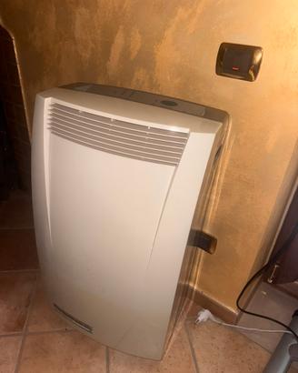 Condizionatore portatile pinguino