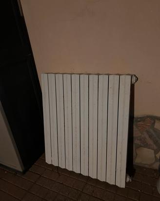Termosifone in ghisa