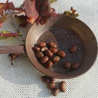 Padella di ferro vintage per caldarroste 