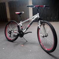 Bici mountainbike