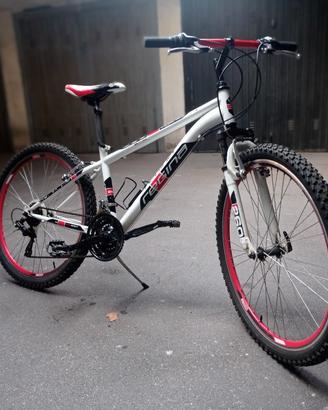 Bici mountainbike