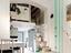 Immagine 14