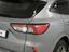 Immagine 28