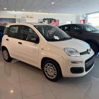 FIAT - Panda - 1.0 FireFly S&S Hybrid Pandina