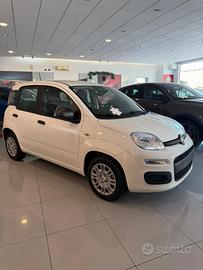 FIAT - Panda - 1.0 FireFly S&S Hybrid Pandina